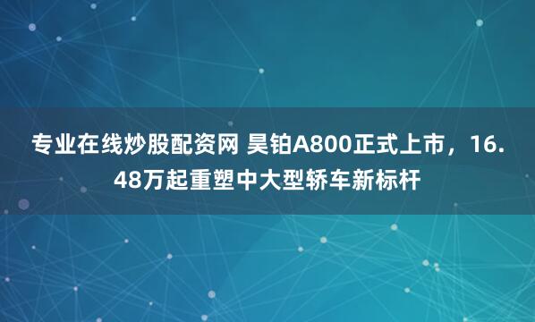 专业在线炒股配资网 昊铂A800正式上市,16.48万起重塑中大型轿车新标杆